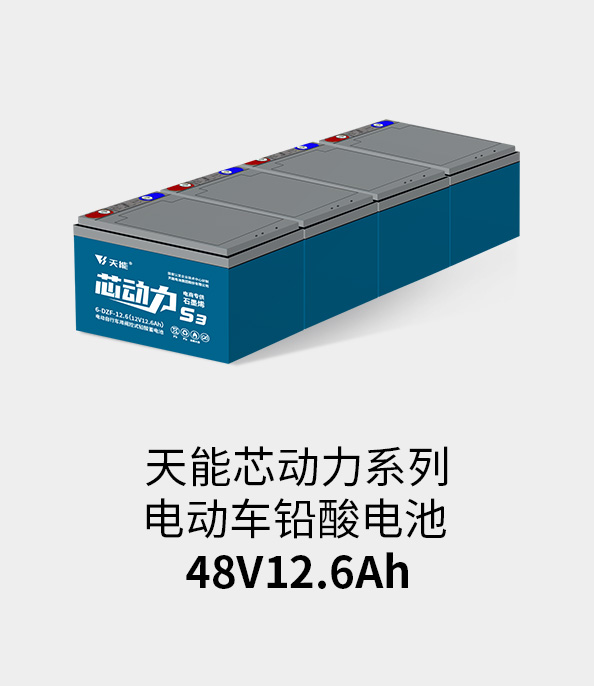 esball电池48v12ah