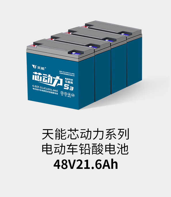 esball电池48v20ah