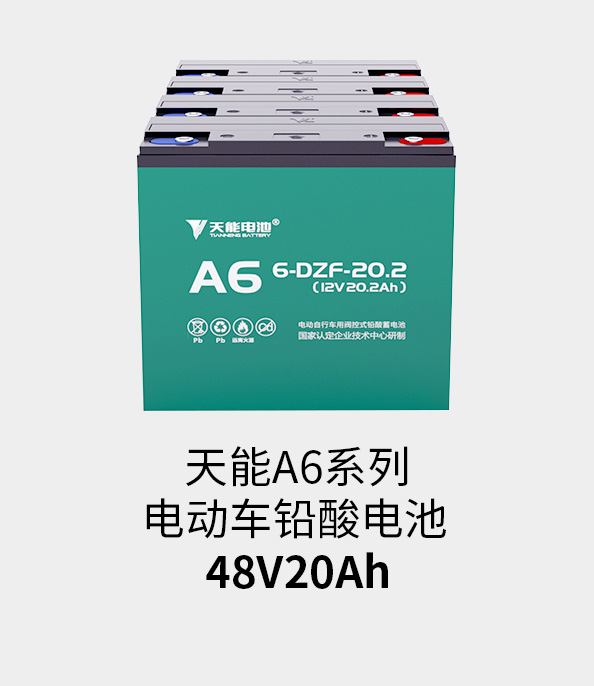 esball电池48v20ah