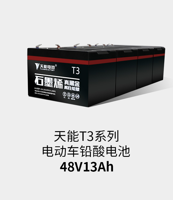 esballT3系列48v13ah