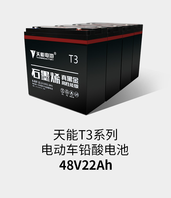 esballT3系列48v22ah