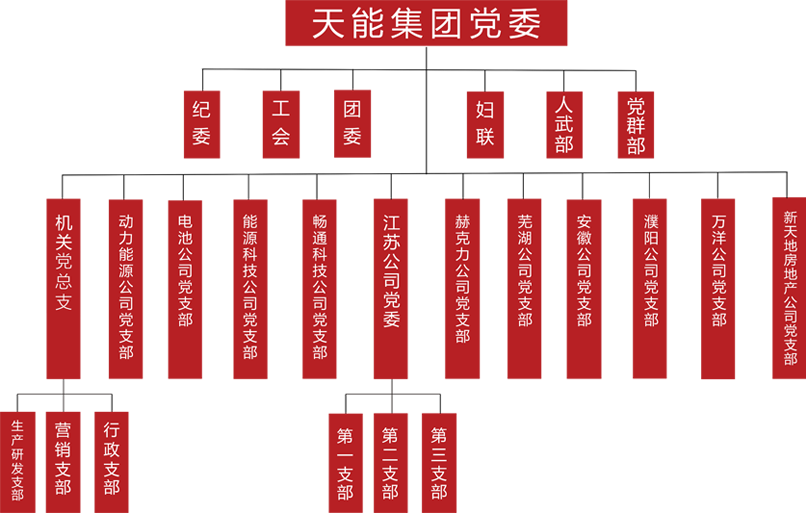 esball建团党委组织架构